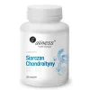 ALINESS SIARCZAN CHONDROITYNY 500mg 100 kapsułek MOCNE I ZDROWE STAWY