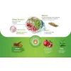 Pasta do Zębów Himalaya naturalna Complete Care Ziołowa Bez Fluoru 2x 75g