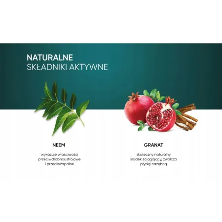 Pasta do Zębów HIMALAYA naturalna Ajurwedyjska pasta Ziołowa 100+50g GRATIS
