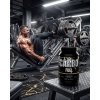 ACTIVLAB HORIZON CARBO FUEL WĘGLOWODANY WITAMINY REGENRACJA PROSZEK 1KG