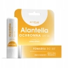 Pomadka Ochronna do ust ACTIVLAB Alantella SPF 30 na Zimę Wiatr - Arbuz