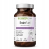 BIOWEN BrainFuel PAMIĘĆ KONCENTRACJA B12 Guduchi BAKOPA Miłorząb 60 kaps
