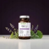 BIOWEN BrainFuel PAMIĘĆ KONCENTRACJA B12 Guduchi BAKOPA Miłorząb 60 kaps