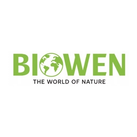 BIOWEN BrainFuel PAMIĘĆ KONCENTRACJA B12 Guduchi BAKOPA Miłorząb 60 kaps