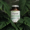 Biowen L-Tryptofan 500mg x 100 kaps. SEN SAMOPOCZUCIE UKŁAD NERWOWY